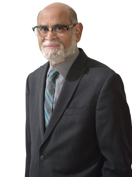 Abdul P Ali
